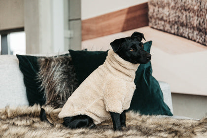 Kentucky Dog Coat - Teddy Fleece