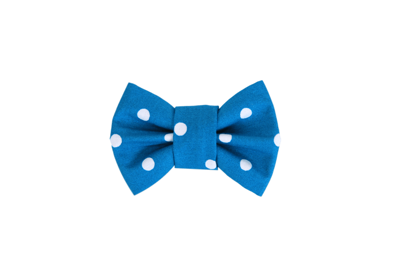 Funky Dog Bow Tie - Turquoise Blue & White Spots - woofers & barkers