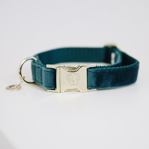 Kentucky Dog Collar - Velvet Emerald