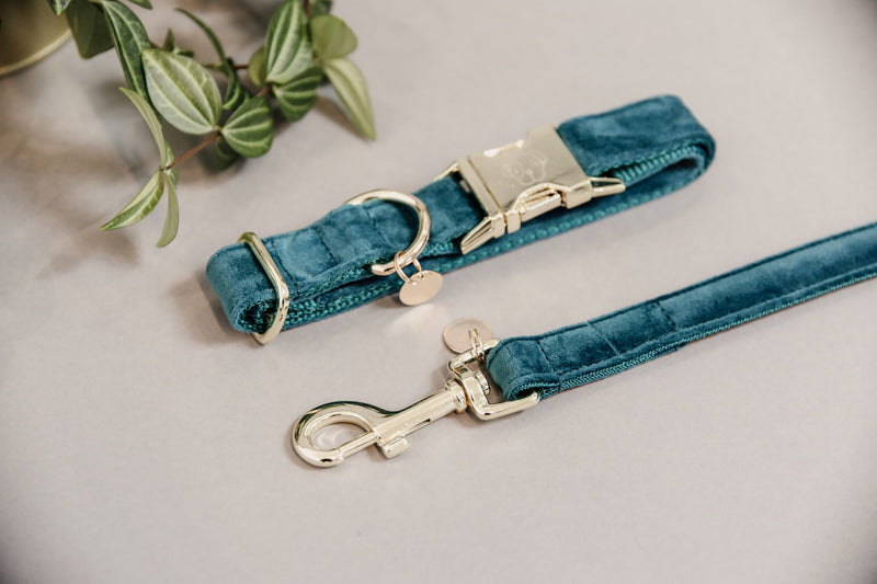 Kentucky Dog Collar - Velvet Emerald