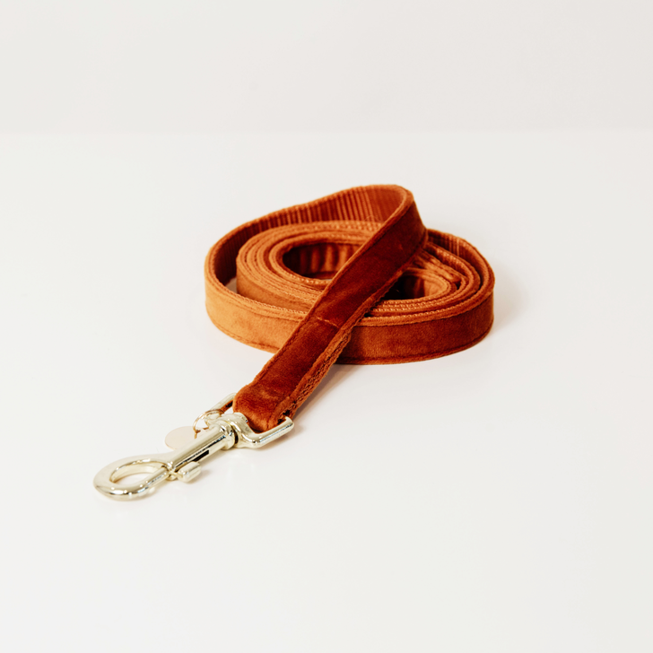 Kentucky Dog Collar - Velvet Orange