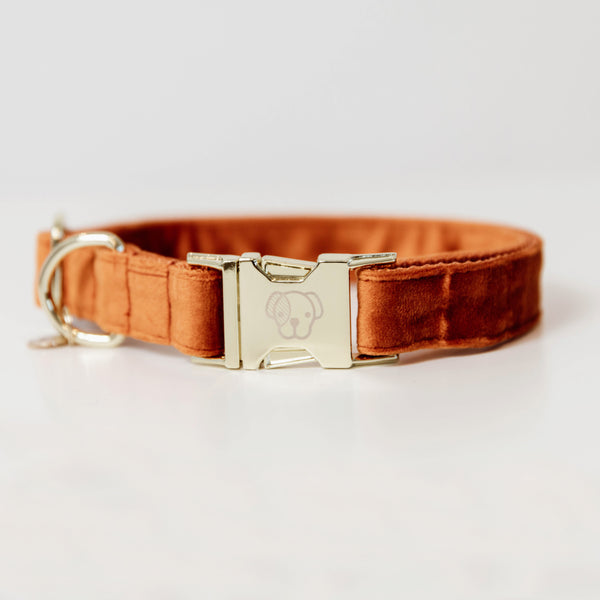 Kentucky Dog Collar - Velvet Orange
