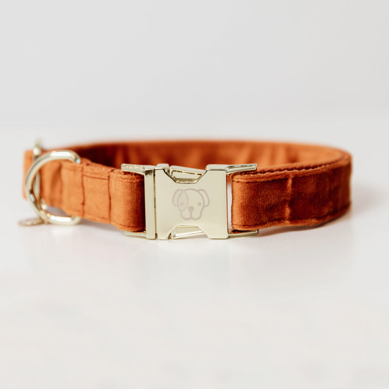 Kentucky Dog Collar - Velvet Orange