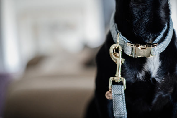 Kentucky Dog Lead 2M - Wool Blue