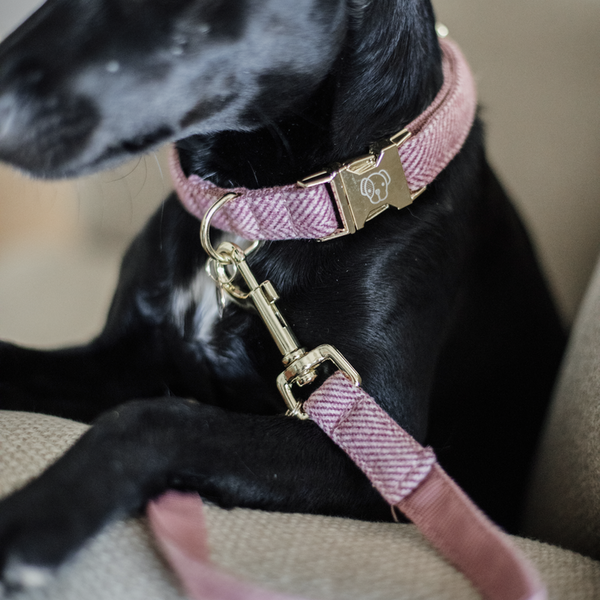 Kentucky Dog Lead - Wool Pink