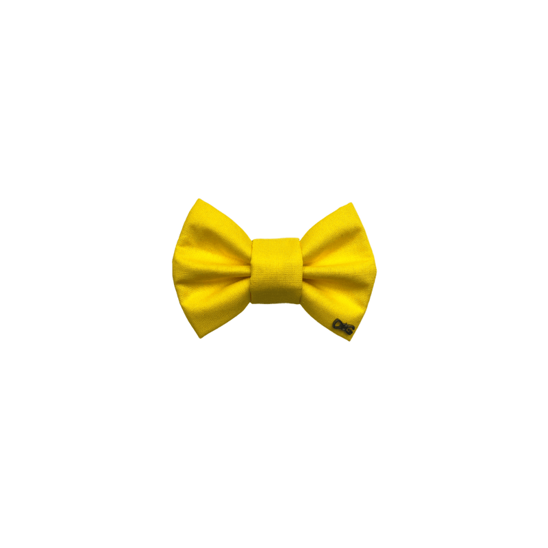 Funky Dog Bow Tie - Bright Yellow - woofers & barkers